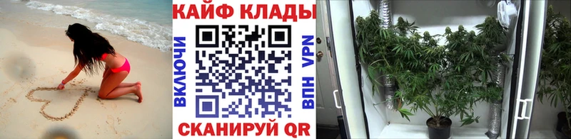 Купить Павловский Посад Псилоцибиновые грибы МЕФ БУТИРАТ blacksprut маркетплейс КЕТАМИН КОКАИН Амфетамин