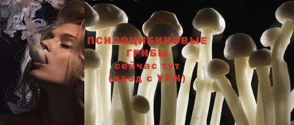 эйфоретик Горняк