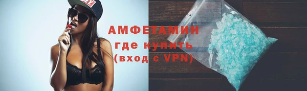 ГАЛЛЮЦИНОГЕННЫЕ ГРИБЫ Горно-Алтайск