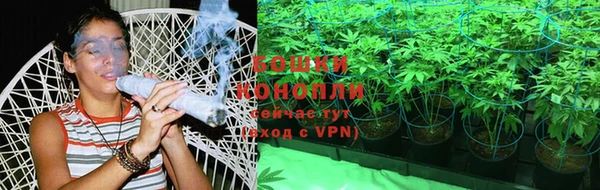 индика Иннополис