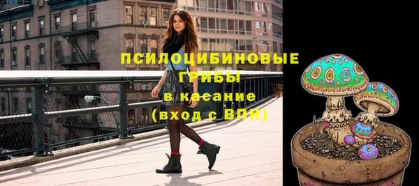 эйфоретик Горняк