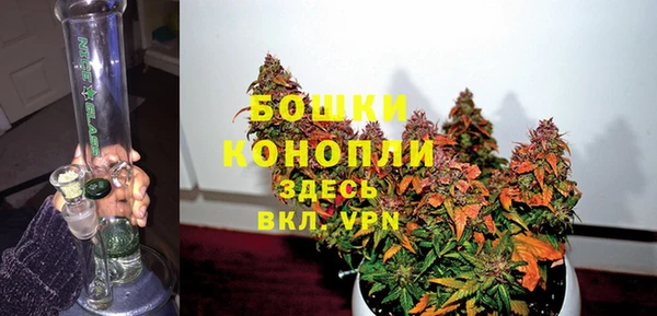 молекула духа Вяземский