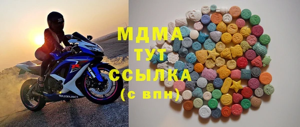 молекула духа Вяземский