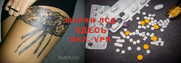 сатива Горнозаводск