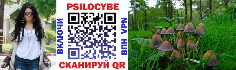 Псилоцибиновые грибы MAGIC MUSHROOMS  наркотики  Павловский Посад 